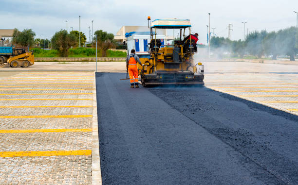 Best Local Driveway Pavers  in Camp Wood, TX