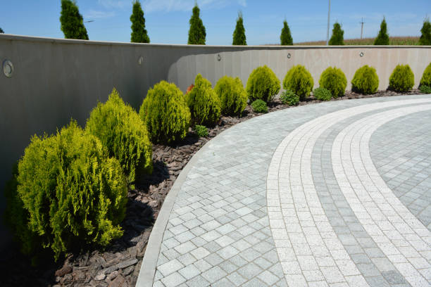 Best Local Driveway Pavers  in Camp Wood, TX